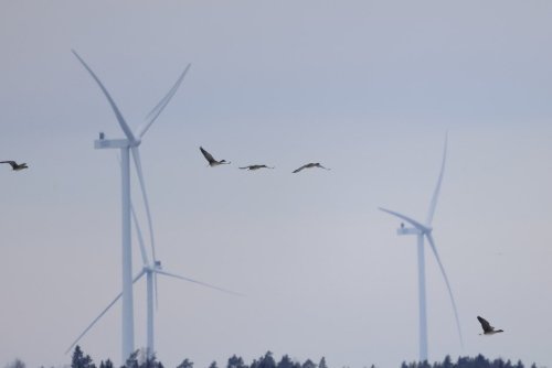 Suomen Hyötytuulen tuotanto-odotus 500 000 MWh vuodessa