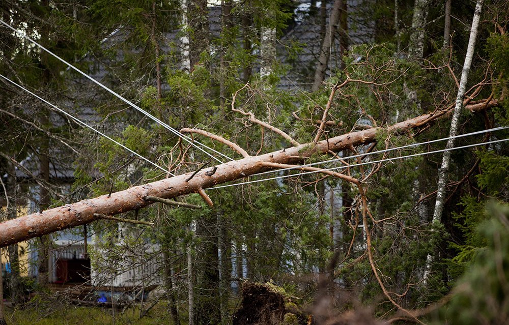 Investoinneilla sähkökatkoja vastaan